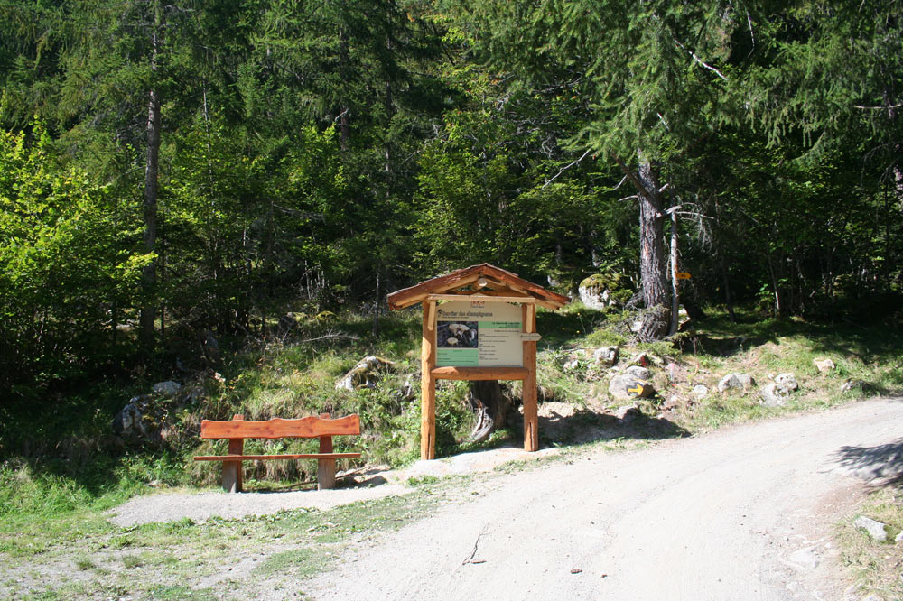 Panneau du sentier des champignons