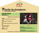 Poste russule émétique