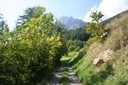Sentier des champignons