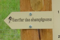 Signalisation du sentier des champignons