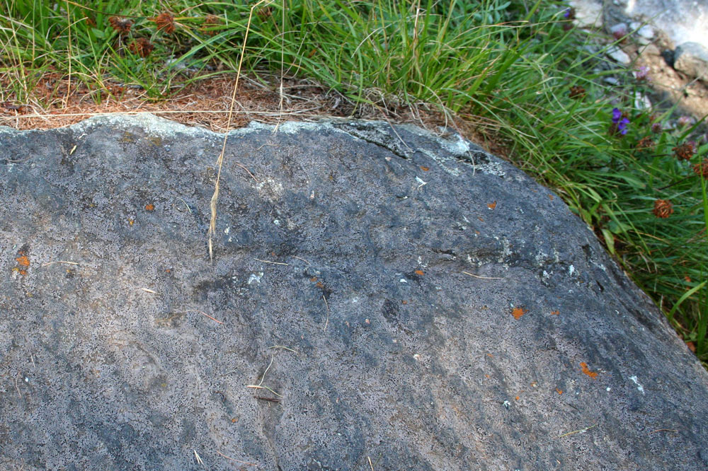 Détail de la pierre à cupule, la Maison du Roi