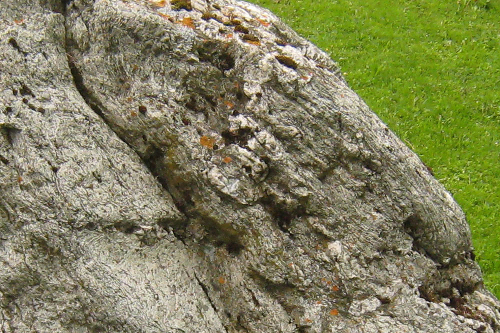 Détail de la pierre à cupule, le Rocher du Diable