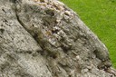 Détail de la pierre à cupule, le Rocher du Diable