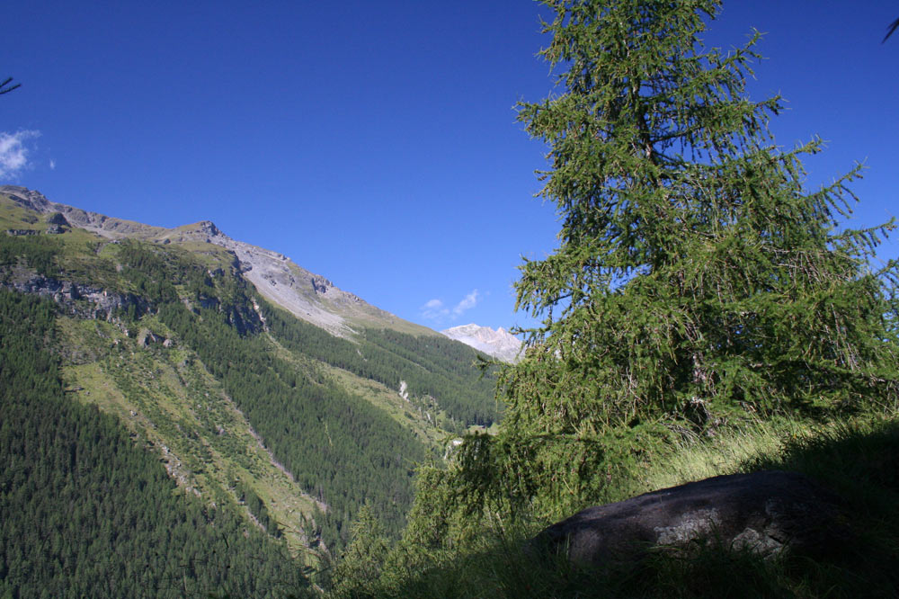 Panorama sur le Val d'Hérens depuis les hauts d'Evolène