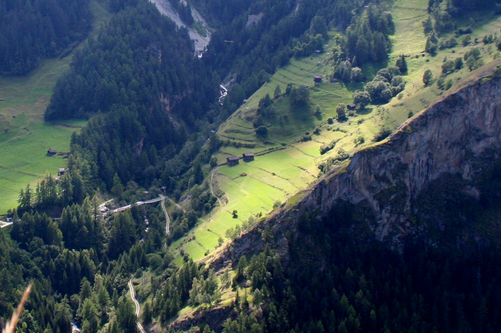 Le Tsan de l'Ané