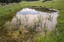 Etang de Sofleu