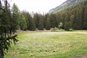 Gouille d'Ouché