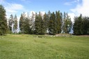 Prairie humide de Sofleu