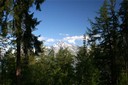 Sentier des pives