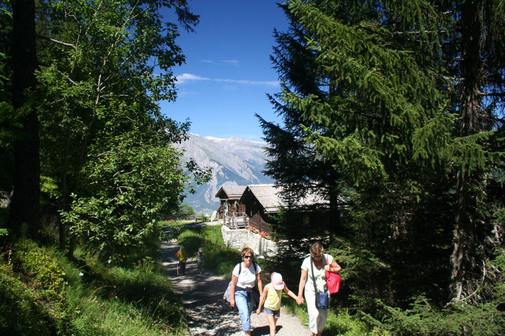 Départ du sentier des sens de la Tzoumaz