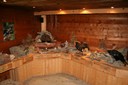 Exposition d'oiseaux naturalisés dans la Maison de la Forêt de la Tzoumaz
