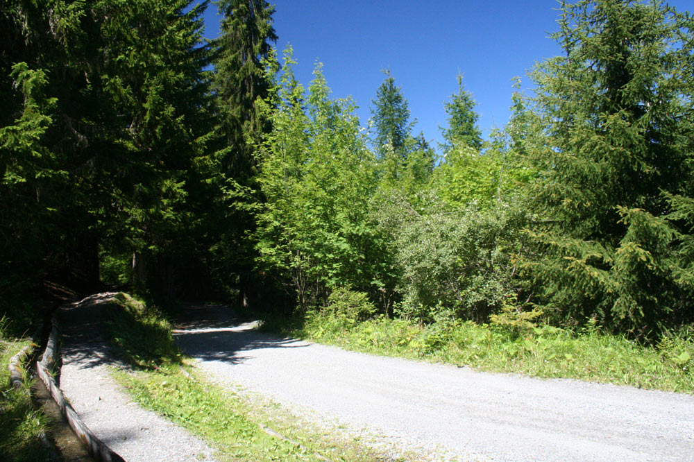 Le Sentier des Sens, La Tzoumaz, Les Mayens de Riddes