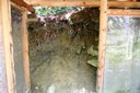 Podzol