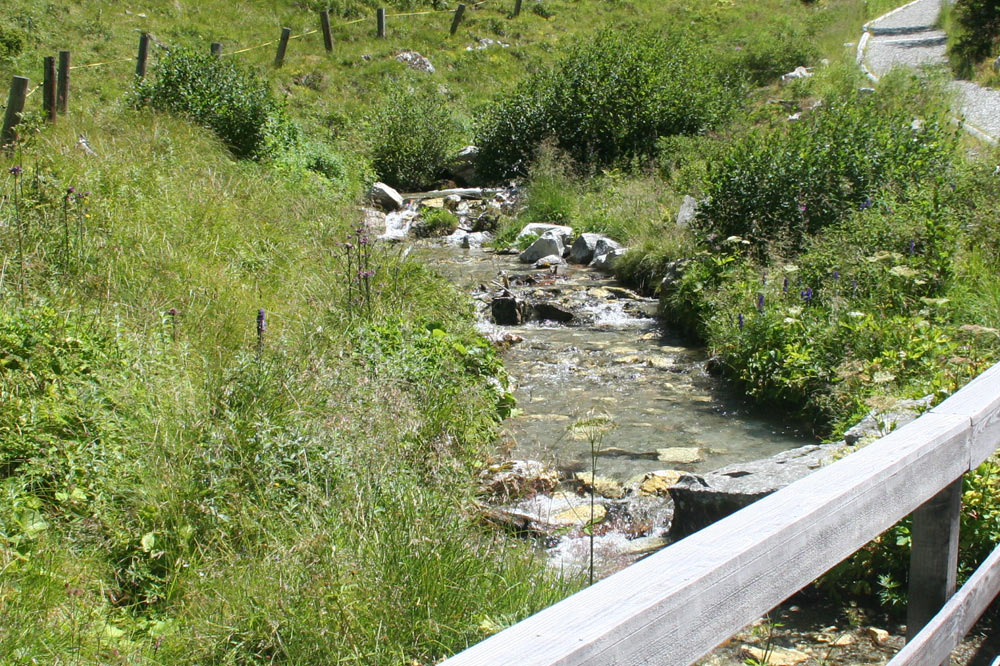 Torrent de la Fare