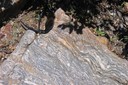 Gneiss