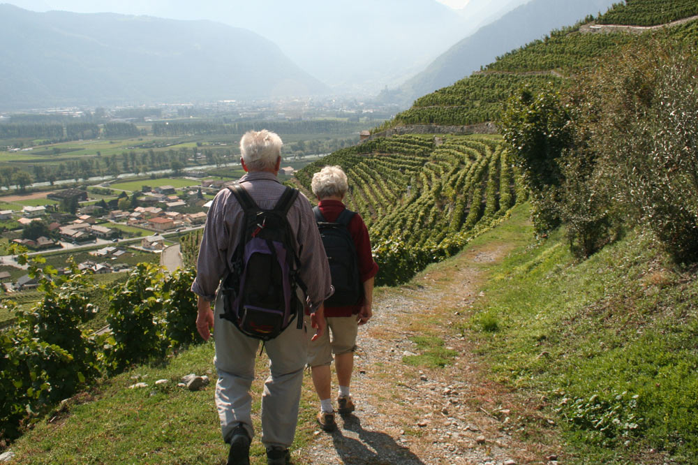 Promeneurs sur le sentier des vignes et guérites