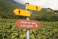 Signalisation du sentier des vignes et guérites