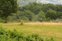 Les Mayens de Sion sont irrigués entre autres grâce à l’eau de cette source