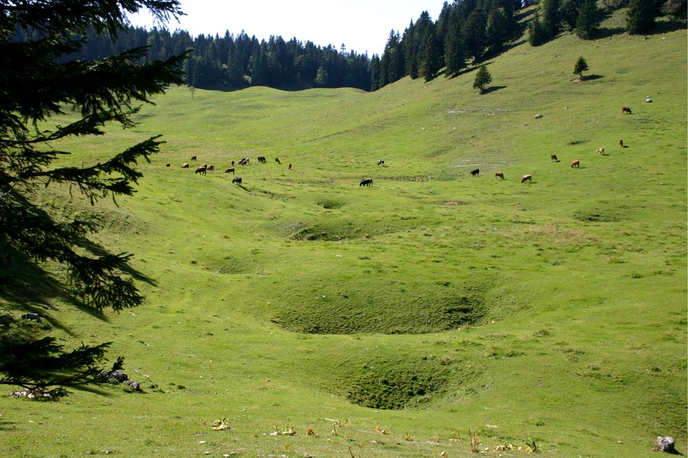 Les dolines sont une autre manifestation de la dissolution du calcaire, cette fois-ci souterraine