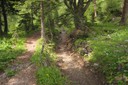Bisse de Zeutier