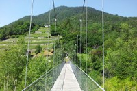 Passerelle sur la Losentse