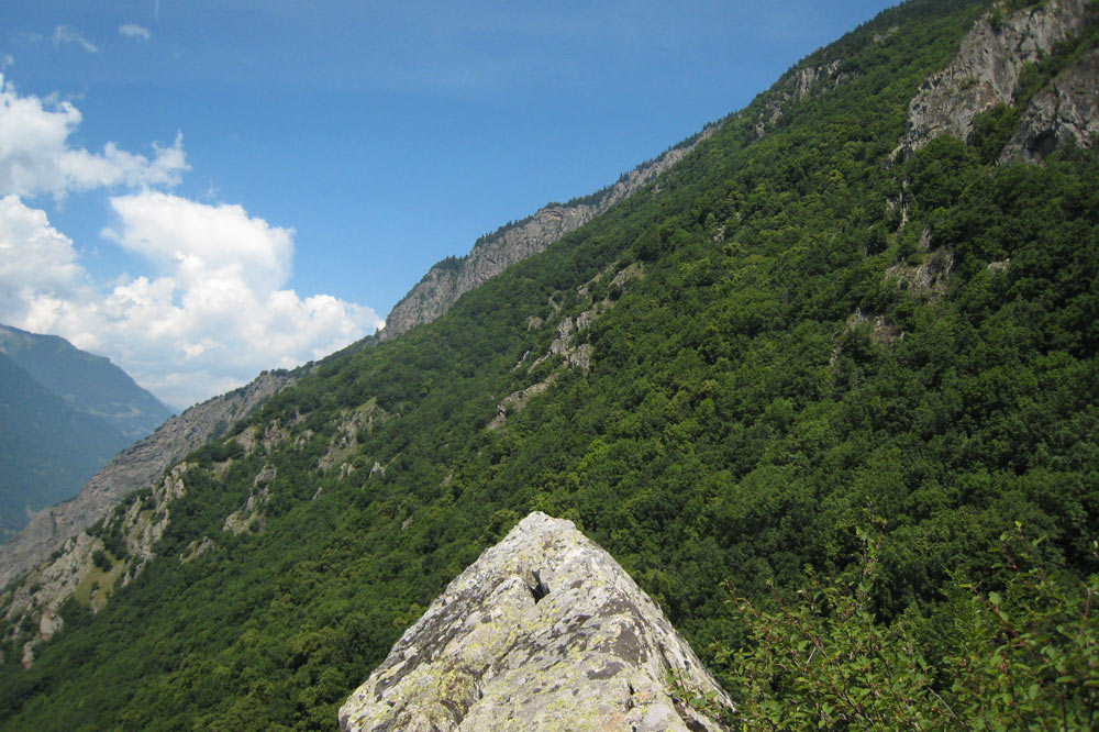 Forêt des Follatères