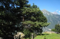 Sentier des Follatères