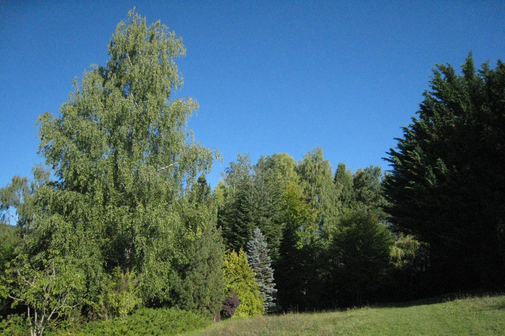 Arboretum de l'Espace Gasser