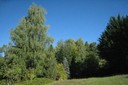 Arboretum de l'Espace Gasser