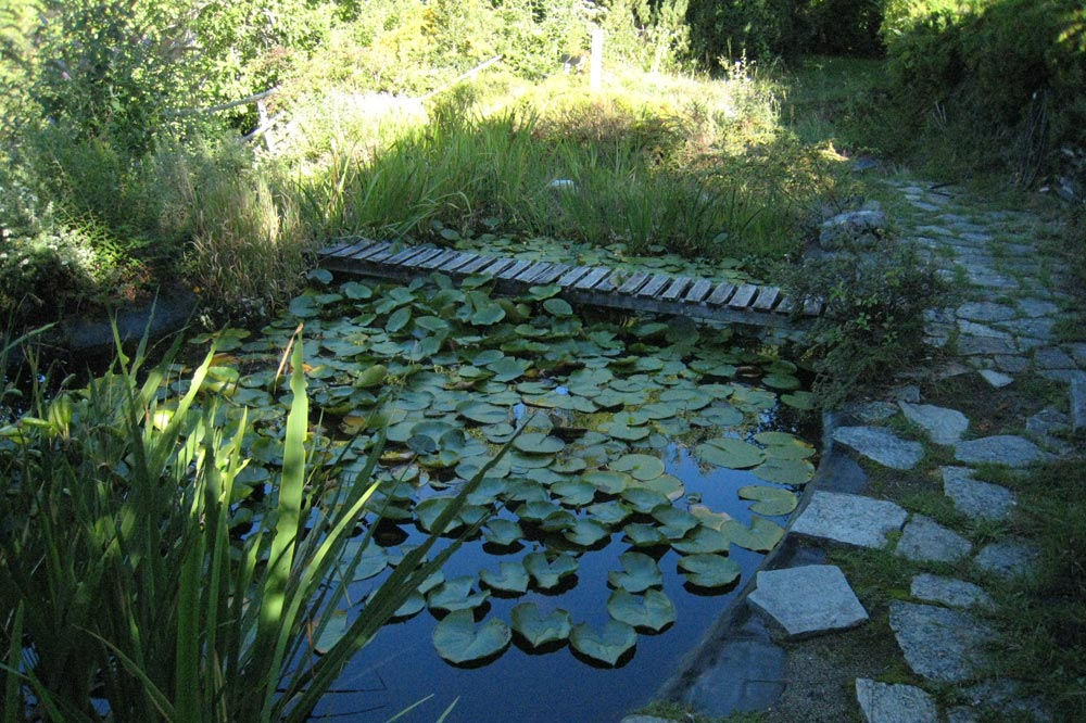 Etang de l'Espace Gasser