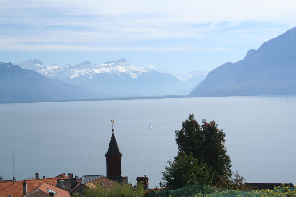 Panorama