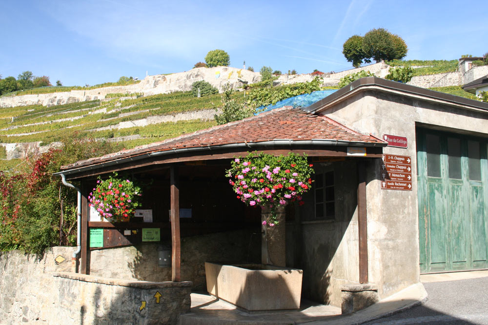 Fontaine couverte - Rivaz