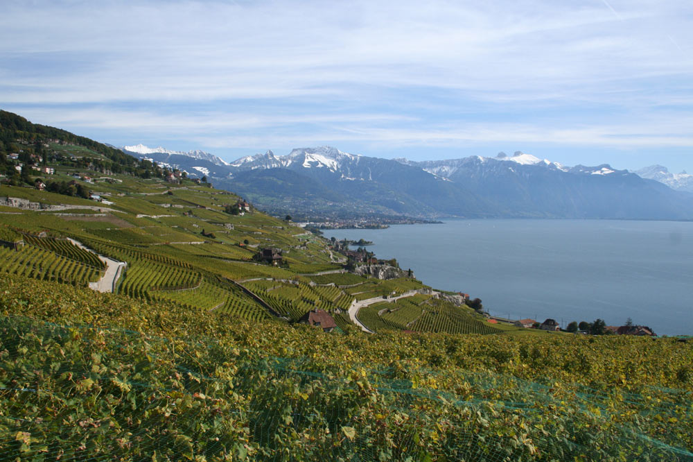 Vignoble de Lavaux et préalpes