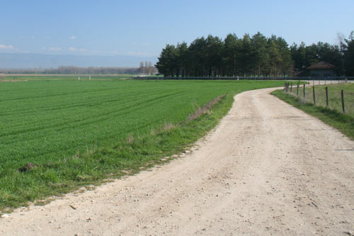 Sentier pédestre dans les environs du Mormont