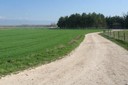 Sentier pédestre dans les environs du Mormont
