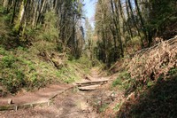 Sentier pédestre dans la cluse d'Entreroches