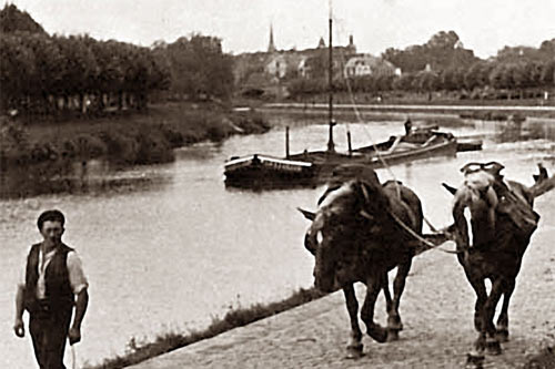 Halage d'une péniche