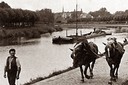 Halage d'une péniche