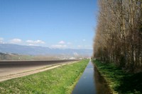 Le canal d'Entreroches se limite aujourd'hui au drainage des champs environnants