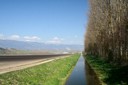 Le canal d'Entreroches se limite aujourd'hui au drainage des champs environnants