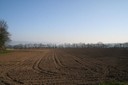 Terres agricoles issues des marais asséchés