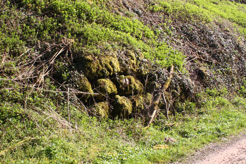 Vestiges du canal à proximité de l'ancien port