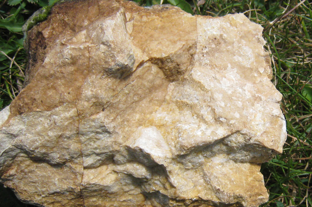 Calcaire du barrémien