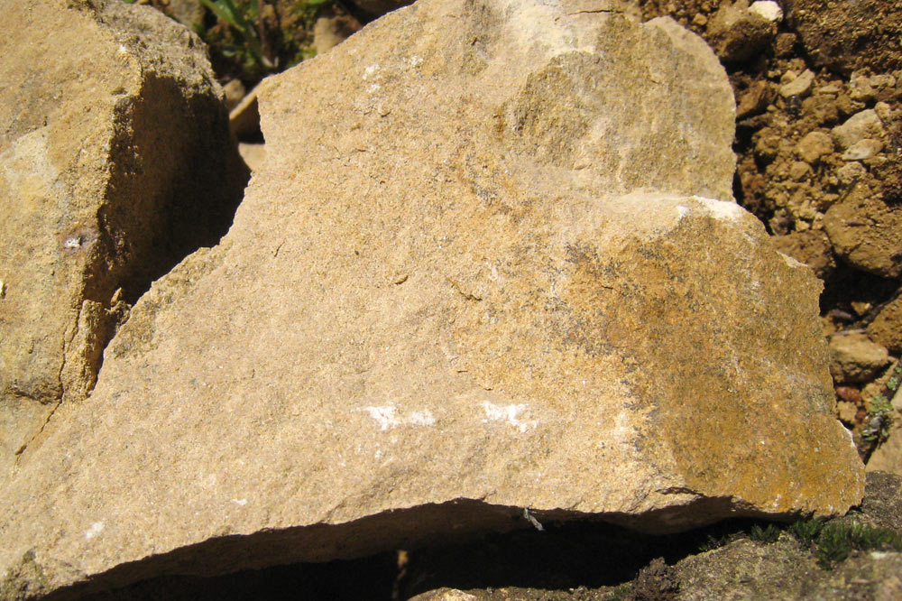 Calcaire du hauterivien