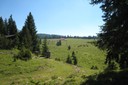 Paysage jurassien