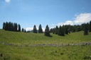 Parc jurassien vaudois