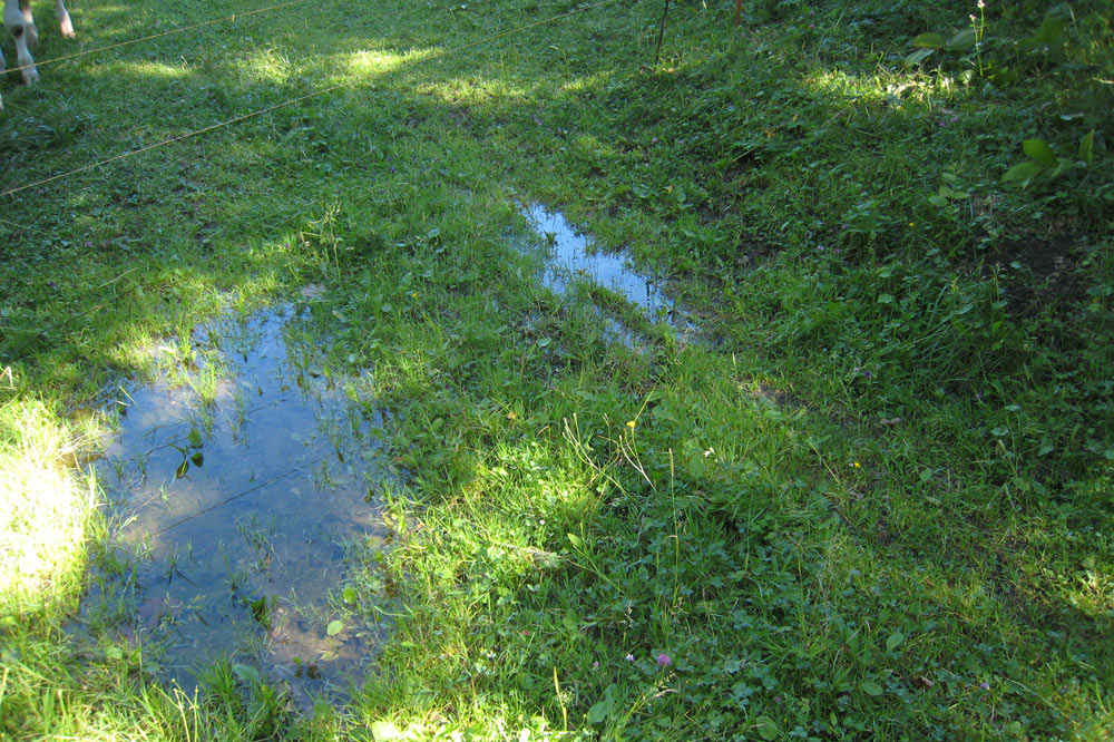 Les marnes rendent le sol imperméable