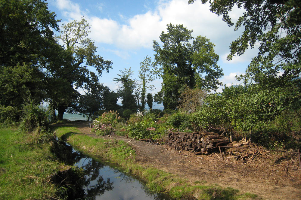 Ancien canal de drainage