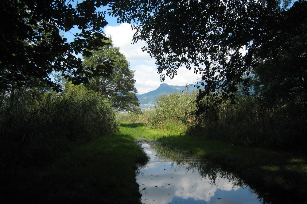 Canal de drainage