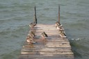 Ponton